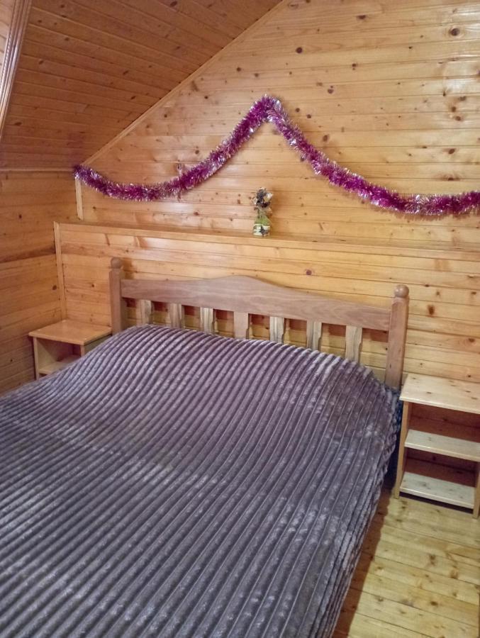 Holiday Home Melodiya Karpat Γιαρέμτσε Εξωτερικό φωτογραφία