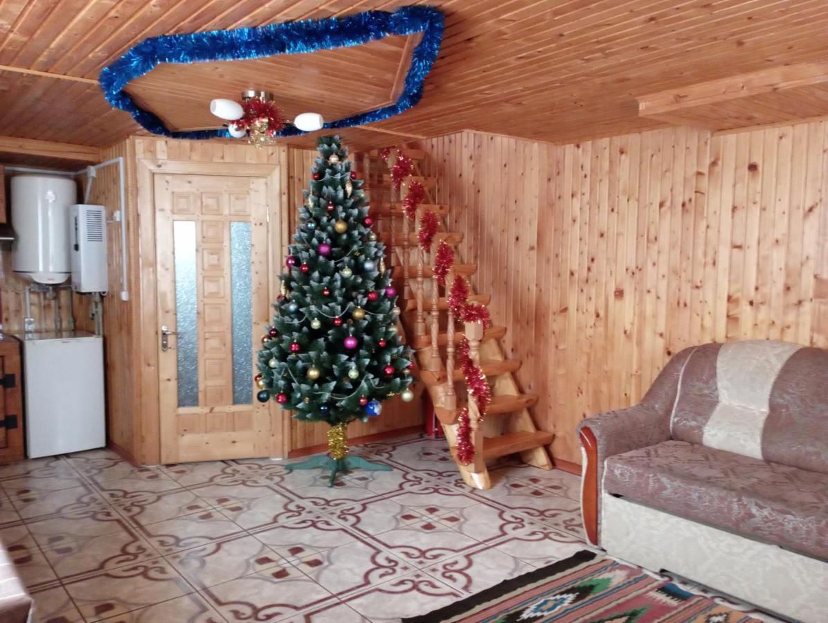 Holiday Home Melodiya Karpat Γιαρέμτσε Εξωτερικό φωτογραφία