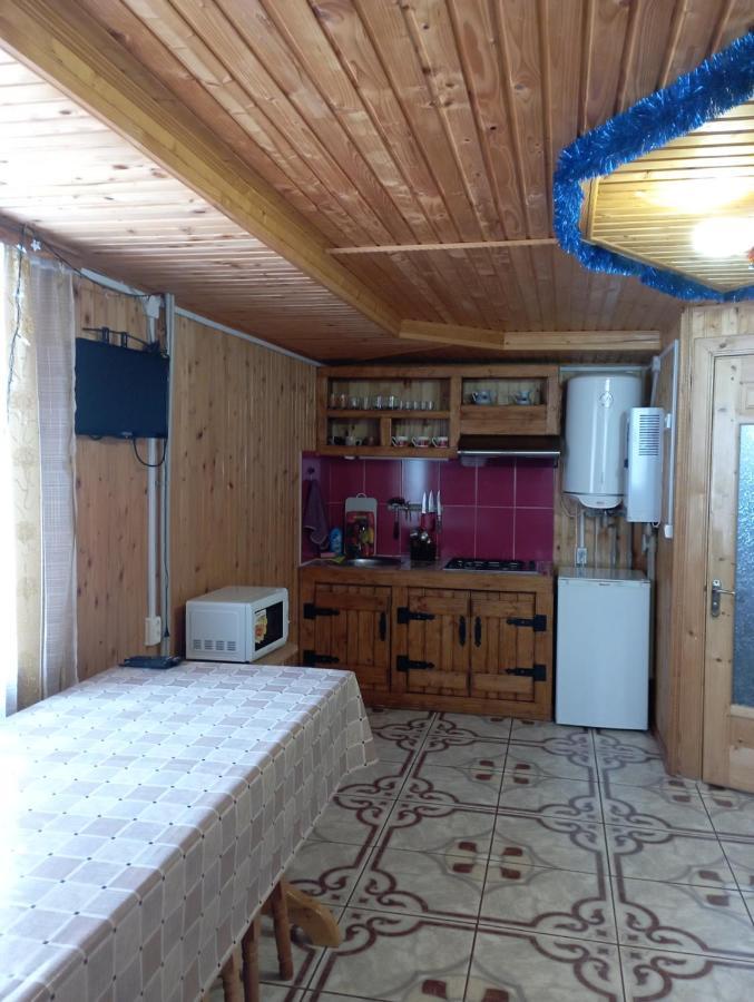 Holiday Home Melodiya Karpat Γιαρέμτσε Εξωτερικό φωτογραφία