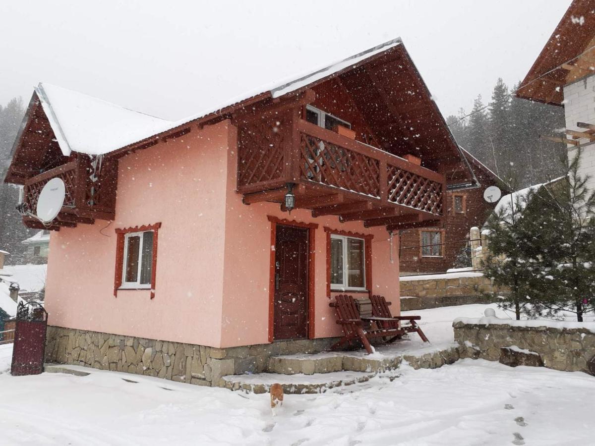 Holiday Home Melodiya Karpat Γιαρέμτσε Εξωτερικό φωτογραφία