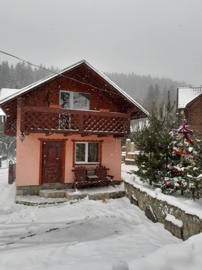 Holiday Home Melodiya Karpat Γιαρέμτσε Εξωτερικό φωτογραφία